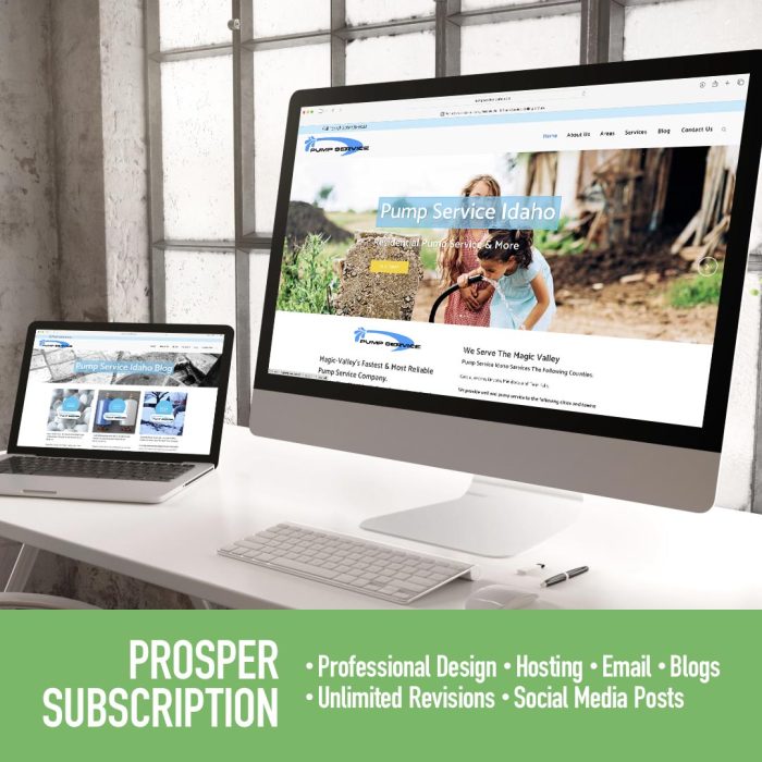 Prosper Website Design Subscription - • Professional Design • Hosting • Email • Blogs • Unlimited Revisions • Social Media Posts