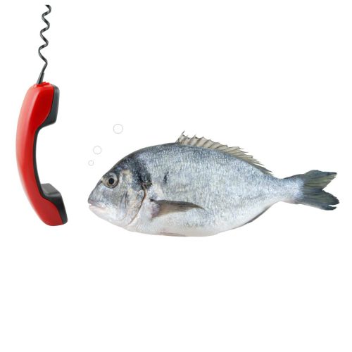Lead Generation Live Customer Phone Calls